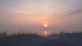 Spring evening on the dunes,near Baltic sea