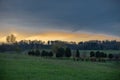 Spring evening landscape with sunset sky and row of trees