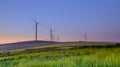 Spring evening light and sunset on the landscape near Arroyo del Olivillo between Sanlucar and Jerez de la Frontera, Cadiz, Andalu