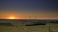 Spring evening light and sunset on the landscape near Arroyo del Olivillo between Sanlucar and Jerez de la Frontera, Cadiz,