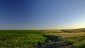 Spring evening light and sunset on the landscape near Arroyo del Olivillo between Sanlucar and Jerez de la Frontera, Cadiz,