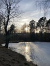 spring evening near small lake in spring time