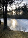 spring evening near small lake in spring time