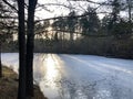 spring evening near small lake in spring time