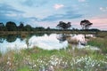 Spring evening on wild lake