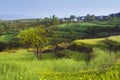 Spring farmland China Royalty Free Stock Photo