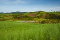 Spring farmland china Royalty Free Stock Photo