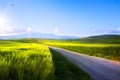 Art spring farmland and country road; tuscany countryside rolling hills Royalty Free Stock Photo