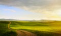 Art spring farmland and country road; tuscany countryside rolling hills