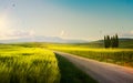 Spring farmland and country road; tuscany countryside rolling hills Royalty Free Stock Photo