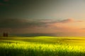 art spring farmland and country road; tuscany countryside rolling hills