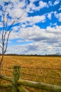 Spring farmland by wood fence and barbed wire with fluffy clouds and blue sky overhead Royalty Free Stock Photo