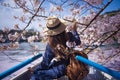 Spring festival cherry blossom in Tokyo, Japan. Royalty Free Stock Photo