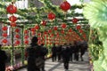 In the Spring Festival of China