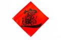 Spring Festival couplets with chinese new year dec