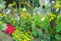 Spring Festival flower garden in lunar year