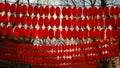 Chinese spring festival lantern glim scaldfish