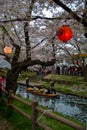 Spring festival in Japan
