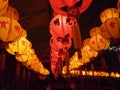 Spring festival lanterns