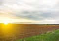 Spring field with bare ground. Nature eco friendly photo. Cereals planting. Last year corn branches. Agriculture concept. Royalty Free Stock Photo