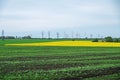 Spring field is crossed by high-voltage power line Royalty Free Stock Photo