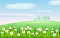 Spring field of flowers of daisies, chamomile and green juicy grass, meadow, blue sky, white clouds. Vector Royalty Free Stock Photo
