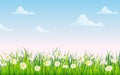 Spring field of flowers of daisies, chamomile and green juicy grass, meadow, blue sky, white clouds. Vector Royalty Free Stock Photo