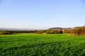 Spring field, landscape