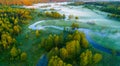 Spring field in mist