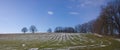 Spring field. Spring landscape.