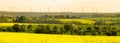 Spring fields Royalty Free Stock Photo