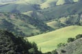 Spring Fields in Carmel Valley, California