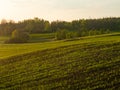 Spring fields and farmlands at the sunset light.