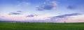 Spring fields with green winter wheat in the picturesque evening sky. Panorama of agricultural landscape