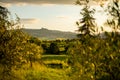 Spring in the fields of Tuscany in the sunset