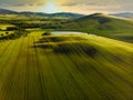 Spring in the fields of Tuscany in the sunset