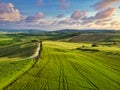 Spring in the fields of Tuscany in the sunset