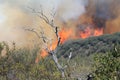 Spring Fire ~ 2013 ~ Fire Approaching Hill Top #7