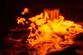 Spring of fire water. Burning methane in water. Cold fire Royalty Free Stock Photo