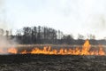 Spring fires of dry grass.