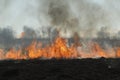 Spring fires of dry grass.