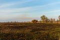 Spring fires in the fields