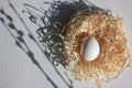 Spring flat lay composition with white easter egg in nest and pussy-willow catkins on white background. Top view, copy space Royalty Free Stock Photo