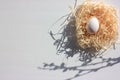 Spring flat lay composition with white easter egg in nest and pussy-willow catkins on white background. Top view, copy space Royalty Free Stock Photo