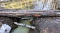 Spring flood - a bridge made of logs across a small river, which overflowed from melting snow