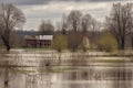 devastating flood and the resilience of life, generative ai