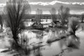 devastating flood and the resilience of life, generative ai