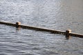 Spring flood, river flood. The area is flooded, the tops of fences are sticking out of the water. Royalty Free Stock Photo