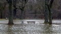 Spring flood. The river has overflowed in the city park, and bench and a trash can are in the water. Very gloomy weather