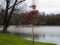 Spring flood. A river overflowed in the city park and flooded the amateur football stadium. Very gloomy weather